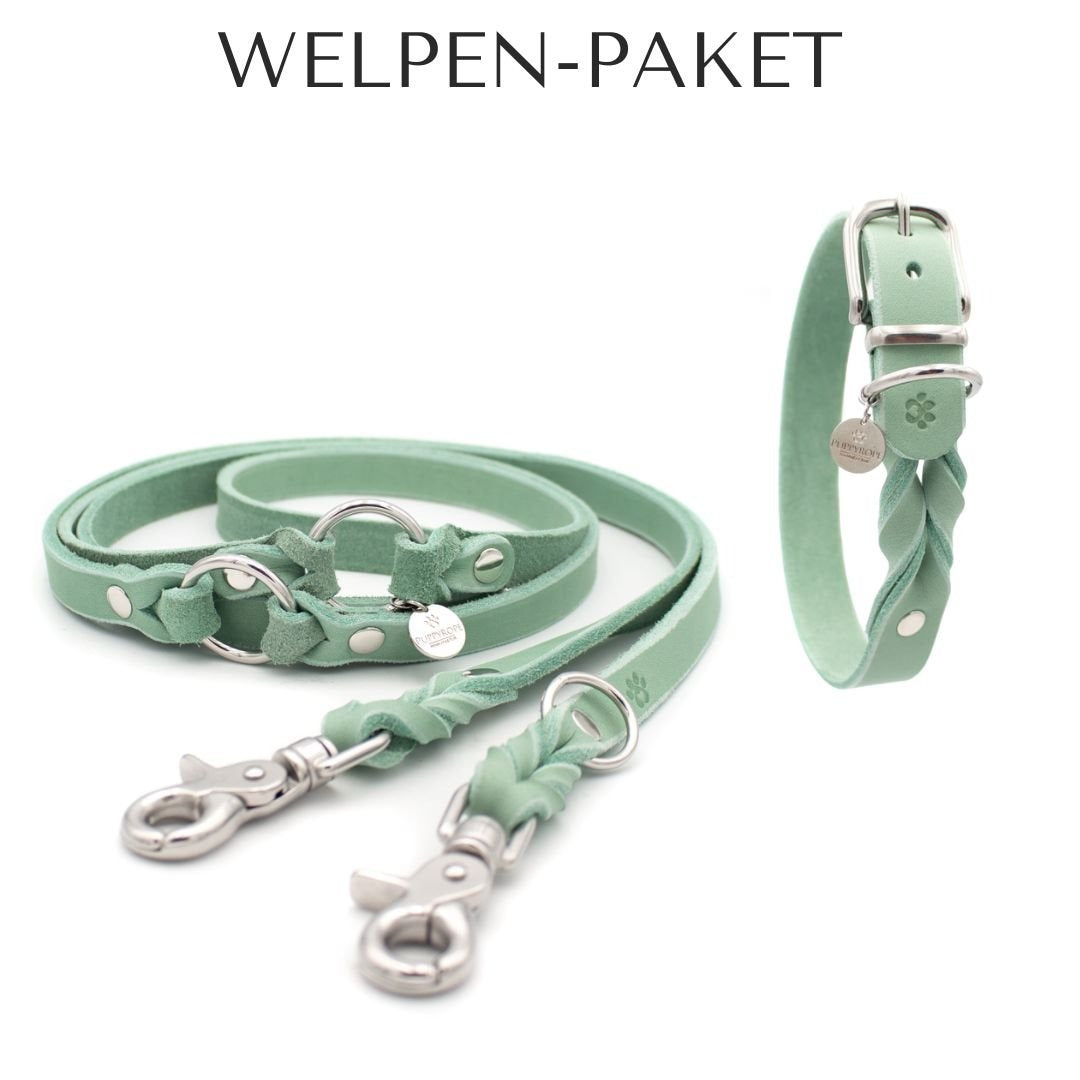 Welpen-Paket Asuna - DIES HUND DAS by PUPPYROPE